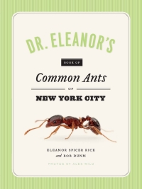 Cover image: Dr. Eleanor's Book of Common Ants of New York City 1st edition 9780226351674