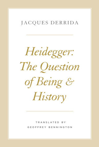 Cover image: Heidegger 1st edition 9780226355115