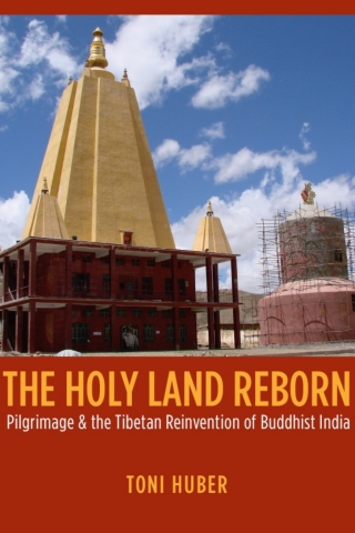 صورة الغلاف: The Holy Land Reborn 1st edition 9780226356488