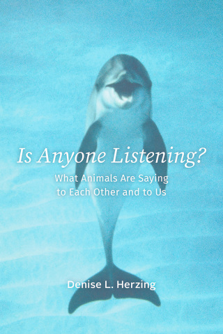 Cover image: Is Anyone Listening? 9780226357492