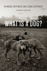 Omslagafbeelding: What Is a Dog? 1st edition 9780226127941