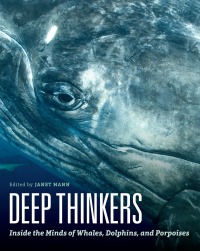 Cover image: Deep Thinkers 1st edition 9780226387475