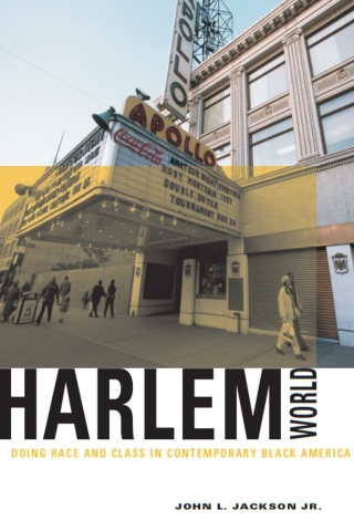 Cover image: Harlemworld 1st edition 9780226389981