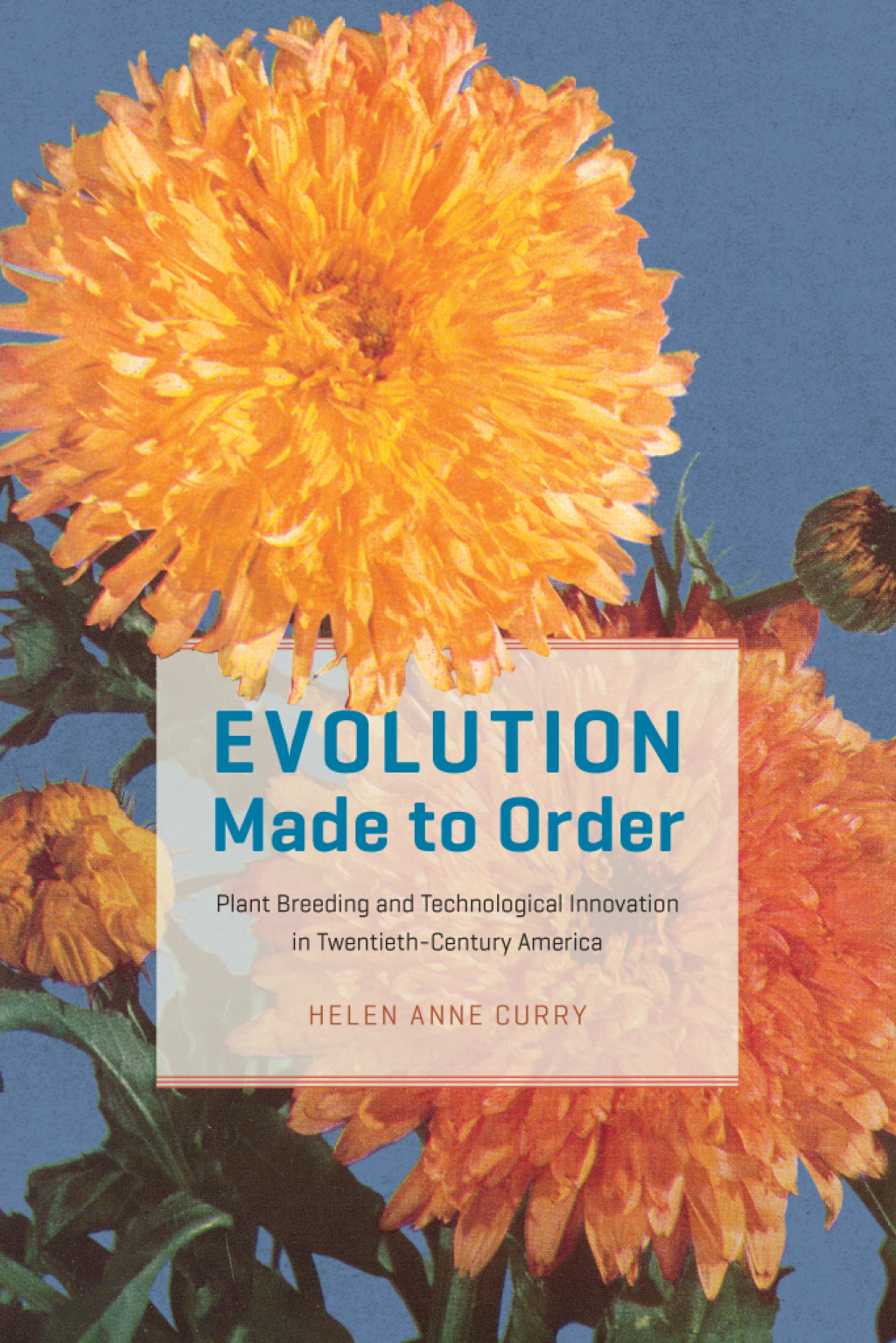 Evolution Made to Order Plant Breeding and Technological Innovation in Twentieth-Century America 1st Edition