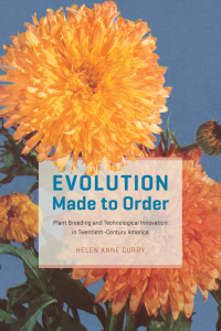 Cover image: Evolution Made to Order 1st edition 9780226390086