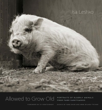 Cover image: Allowed to Grow Old 9780226391373
