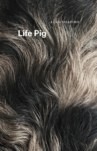 Cover image: Life Pig 1st edition 9780226404172