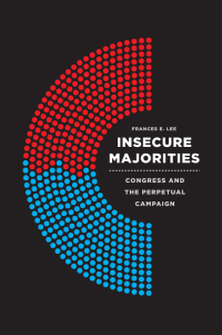 Immagine di copertina: Insecure Majorities 1st edition 9780226408996