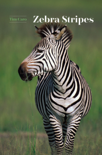 Imagen de portada: Zebra Stripes 1st edition 9780226411019