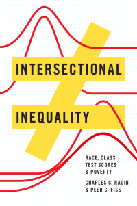 Omslagafbeelding: Intersectional Inequality 1st edition 9780226414409