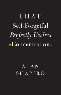 Imagen de portada: That Self-Forgetful Perfectly Useless Concentration 1st edition 9780226416953