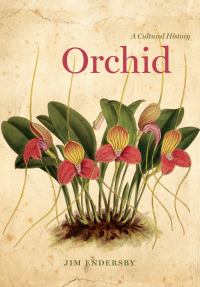Cover image: Orchid 1st edition 9780226376325