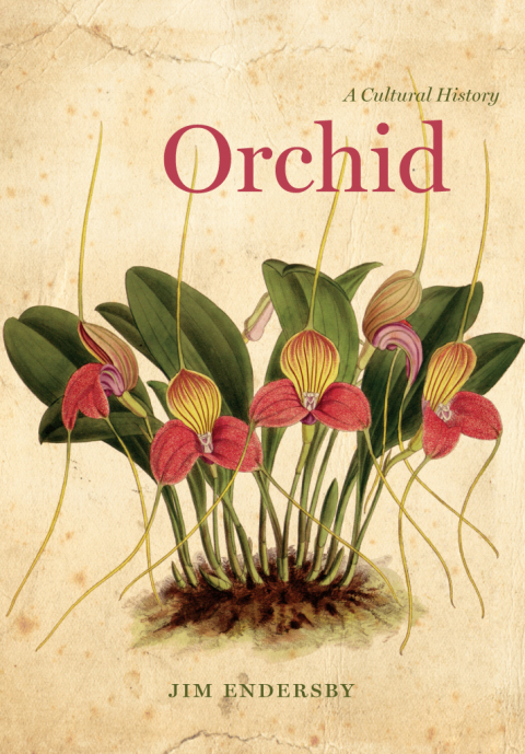 Orchid: A Cultural History, 1st Edition - FULL INSTANT DOWNLOAD | PDF DOCX EPUB