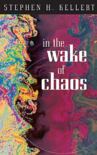表紙画像: In the Wake of Chaos 1st edition 9780226429762