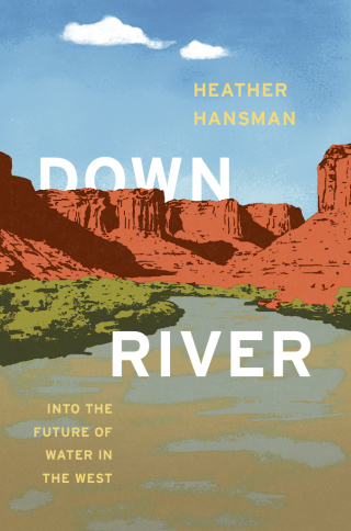 Cover image: Downriver 1st edition 9780226819976