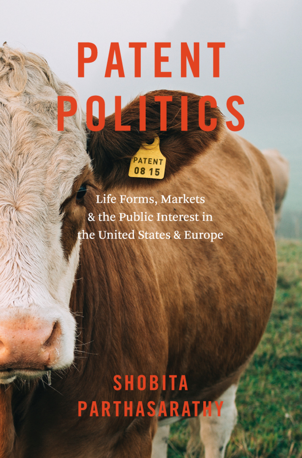 Patent Politics Life Forms, Markets, and the Public Interest in the United States and Europe 1st Edition