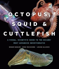 Cover image: Octopus, Squid, and Cuttlefish 9780226459561