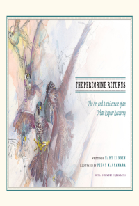 Imagen de portada: The Peregrine Returns 1st edition 9780226465425