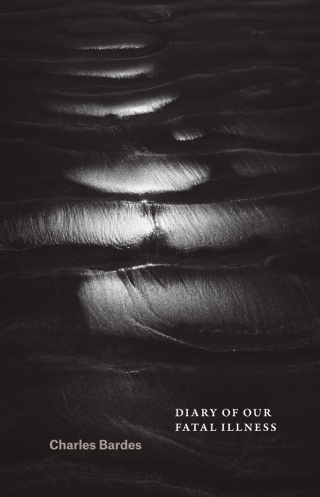 Cover image: Diary of Our Fatal Illness 1st edition 9780226468020