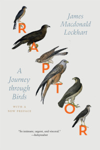 Cover image: Raptor 1st edition 9780226470580