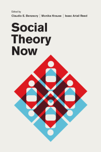 Cover image: Social Theory Now 1st edition 9780226475141