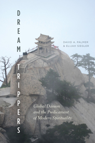 Cover image: Dream Trippers 1st edition 9780226484846