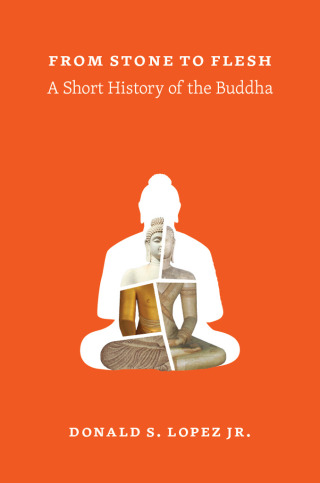 Cover image: From Stone to Flesh 1st edition 9780226333236