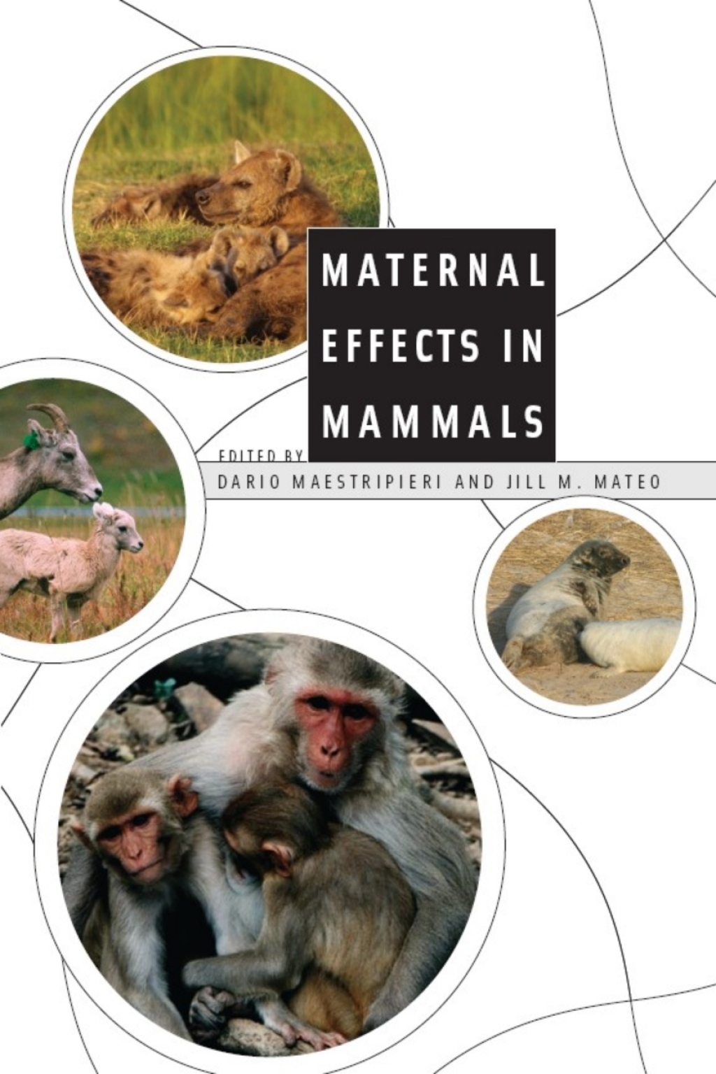 Maternal Effects in Mammals 1st Edition