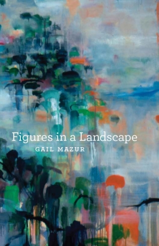 Immagine di copertina: Figures in a Landscape 1st edition 9780226514413