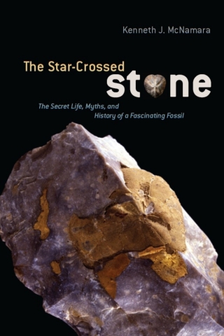 Cover image: The Star-Crossed Stone 1st edition 9780226514697