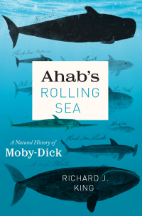 Titelbild: Ahab's Rolling Sea 9780226789873