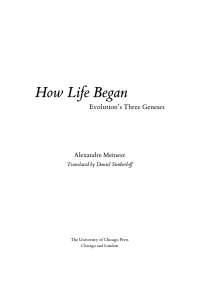 Cover image: How Life Began 1st edition 9780226519319