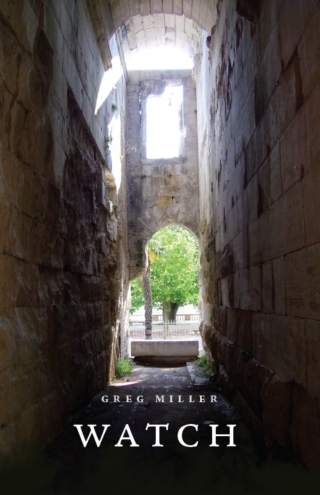 Cover image: Watch 1st edition 9780226526140