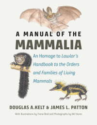 Cover image: A Manual of the Mammalia 9780226533001
