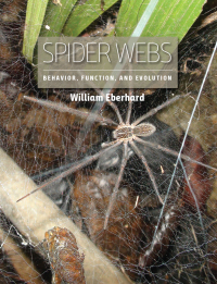 Cover image: Spider Webs 9780226534602