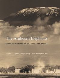 Immagine di copertina: The Amboseli Elephants 1st edition 9780226542232