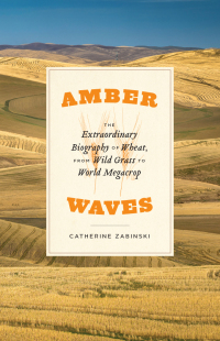 Immagine di copertina: Amber Waves 9780226820057