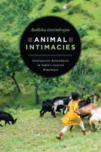 Titelbild: Animal Intimacies 9780226559841