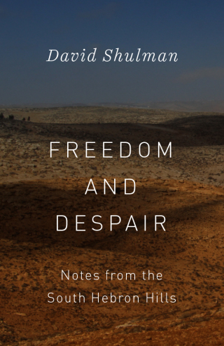 Immagine di copertina: Freedom and Despair 9780226566658