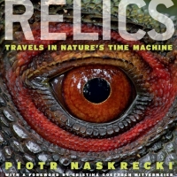 Cover image: Relics 1st edition 9780226568706