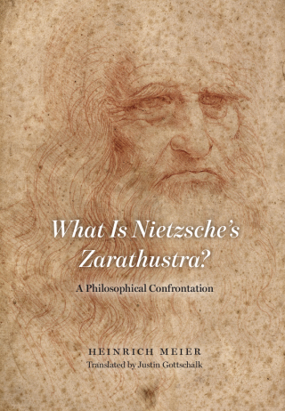 Cover image: What is Nietzsche's Zarathustra? 9780226849256