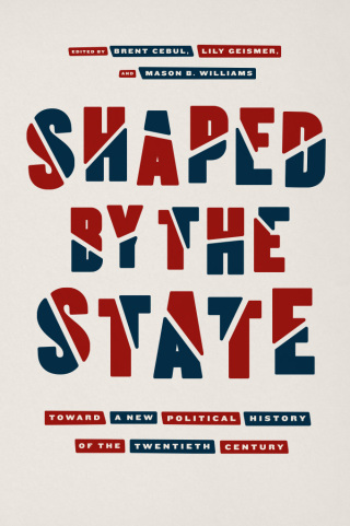 Imagen de portada: Shaped by the State 9780226596327