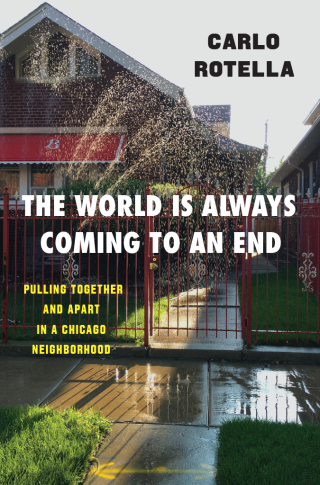 表紙画像: The World Is Always Coming to an End 9780226759616
