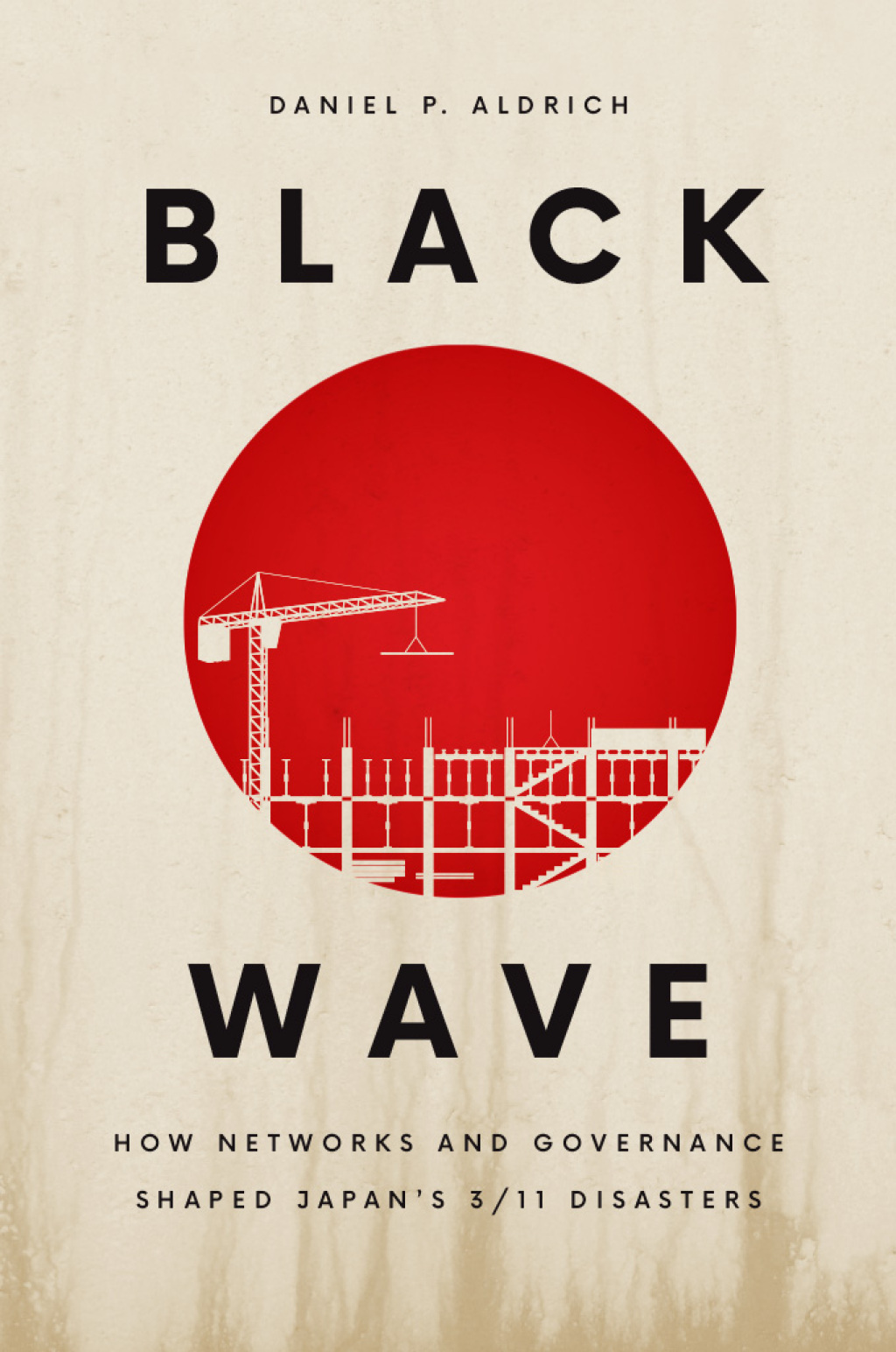 Black Wave How Networks and Governance Shaped Japan’s 3/11 Disasters