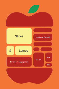 Immagine di copertina: Slices and Lumps 9780226650265