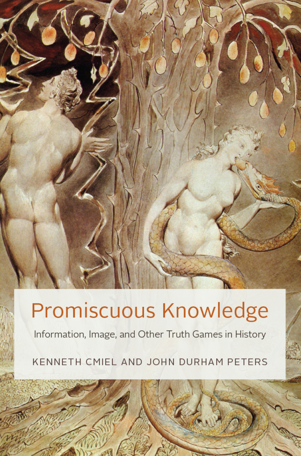Promiscuous Knowledge Information, Image, and Other Truth Games in History
