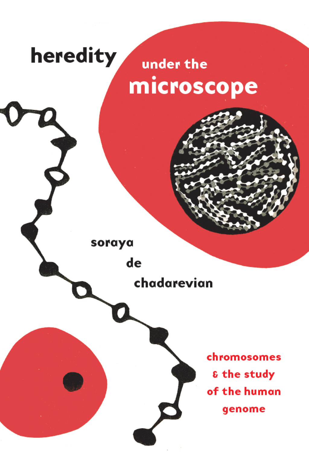 Heredity under the Microscope Chromosomes and the Study of the Human Genome