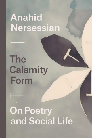 Cover image: The Calamity Form 9780226701288