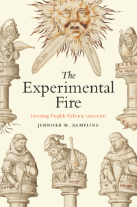 表紙画像: The Experimental Fire 9780226826547