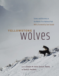 Omslagafbeelding: Yellowstone Wolves 9780226728346
